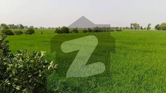 مانگا منڈی لاہور میں 8 کنال زرعی زمین 1.0 کروڑ میں برائے فروخت۔