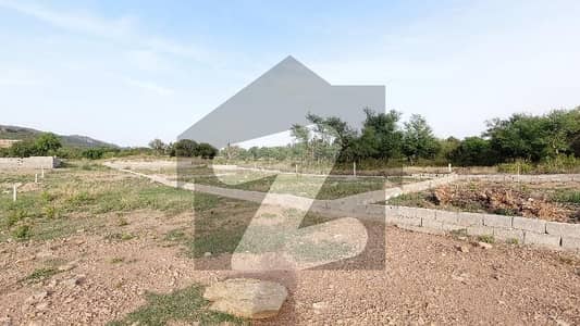Highly-Desirable On Excellent Location Residential Plot Available In Shah Allah Ditta For sale