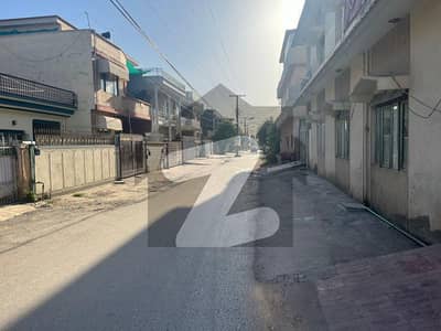 شہزاد