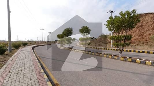 پنجاب