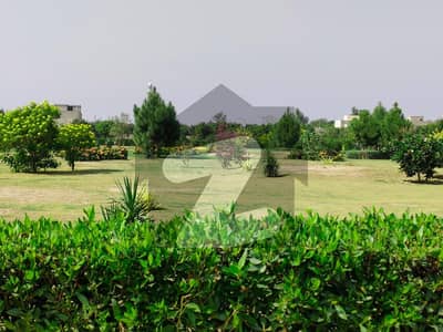 For Residence Point Of View 10 Marla Plot Available In New Lahore City