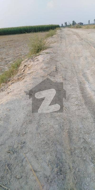 لاہور - قصور روڈ لاہور میں 12 کنال زرعی زمین 70.0 لاکھ میں برائے فروخت۔