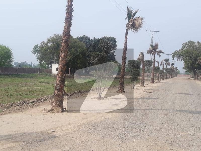 Affordable Residential Plot Available For sale In Barki Road