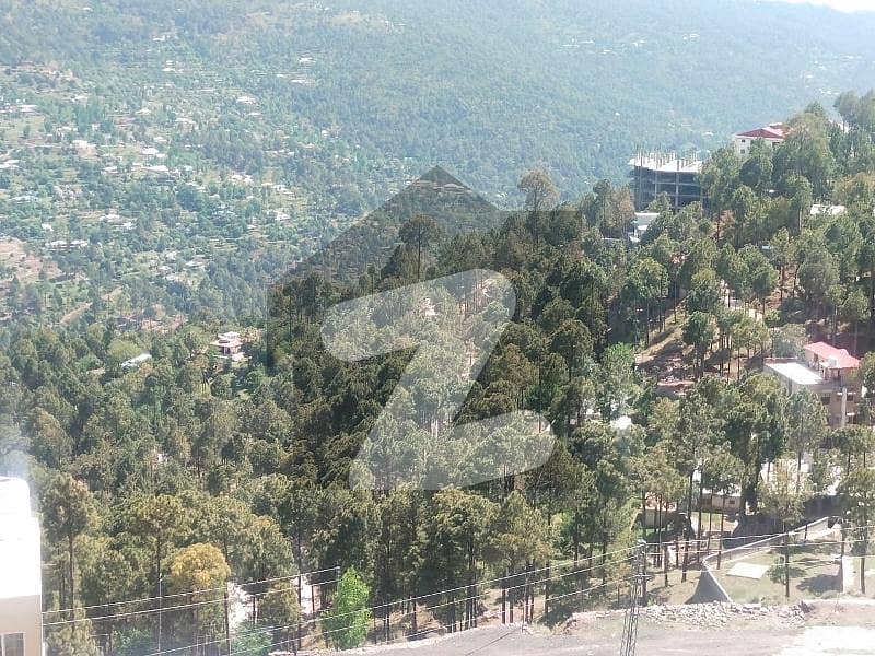 7 Marla Plots In Murree Expressway Lakot