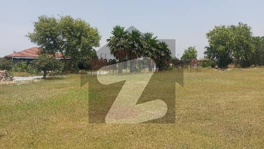 سپرنگ میڈوز بیدیاں روڈ,لاہور میں 40 کنال زرعی زمین 25.0 کروڑ میں برائے فروخت۔