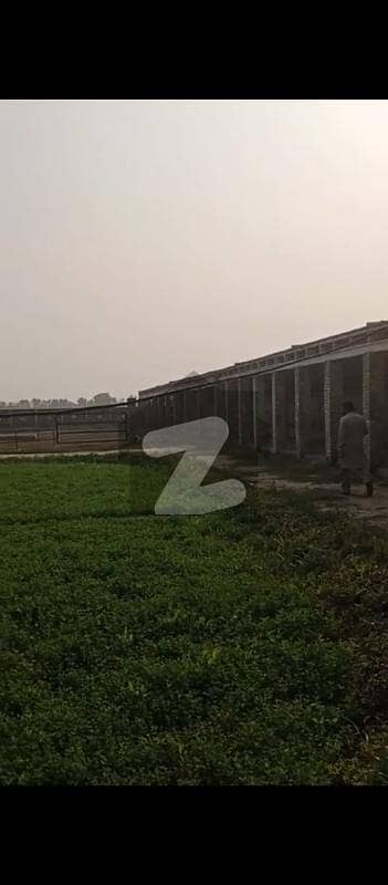 بیدیاں روڈ لاہور میں 25 کنال زرعی زمین 5.0 کروڑ میں برائے فروخت۔