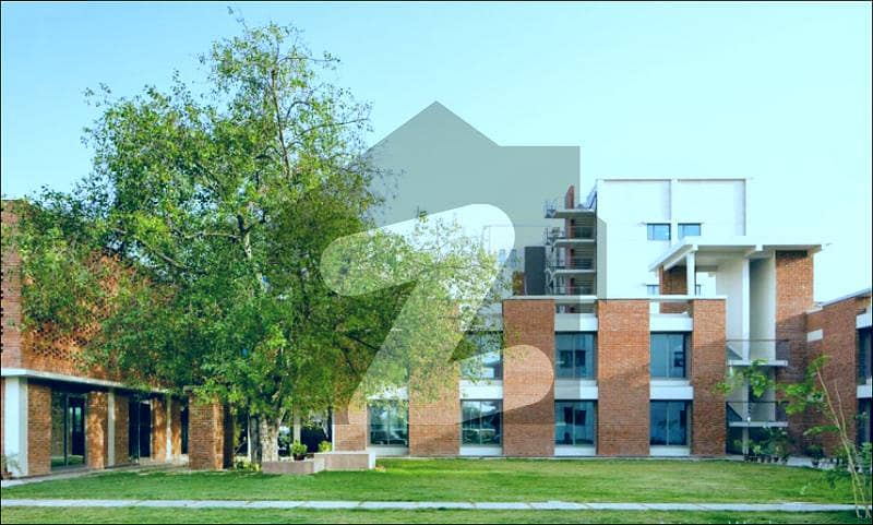 Big College, University Building Park Road chakshehzad available