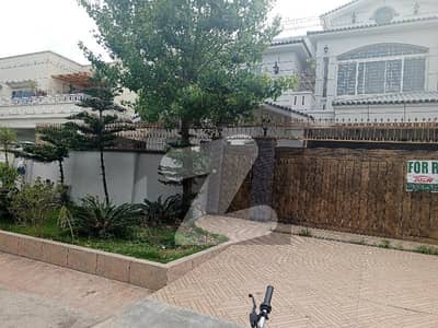Beautiful House Ground Portion Available For Rent in D-12 Islamabad House size 40X80