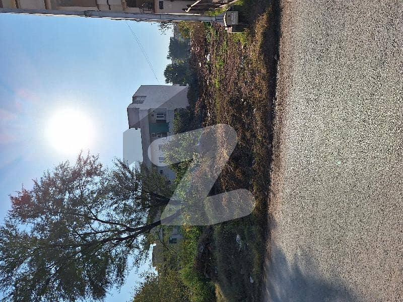 Residential plot 35x70 street#1 solid land 100% level tarnol face 50 feet wide road main double road back prime location available for sale in G-14/4