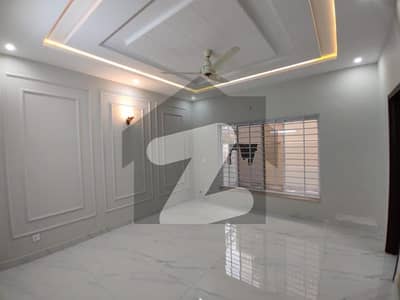 14 Marla Ground Portion for Rent In G14 Islamabad