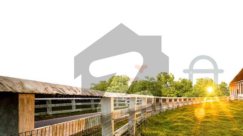 Prime 4-Kanal Agricultural Farmhouse on Main Road Ideal Location for Farming and Living Prime 4-Kanal Agricultural Farmhouse on Main Road Ideal Location for Farming and Living
