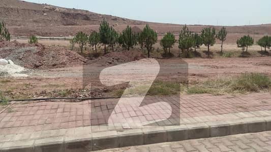 Sector F 8 Marla Commercial Plot Main Avenue 120 Wide Feet With 60 Feet Service Road Heighted Location Back Open Plots For Sale