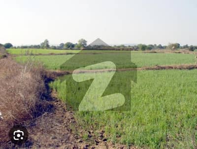ڈی ایچ اے فیز 10 ڈیفنس (ڈی ایچ اے),لاہور میں 8 کنال زرعی زمین 3.3 کروڑ میں برائے فروخت۔