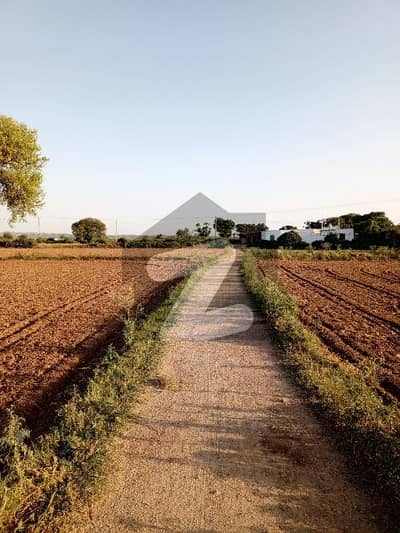 48 Kanal Agriculture Land For Sale Rhana Sadat