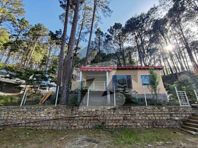 Buying A House In New Murree?
