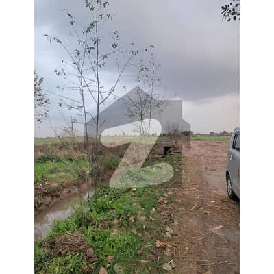 پنڈوکے لاہور میں 4 کنال زرعی زمین 80.0 لاکھ میں برائے فروخت۔