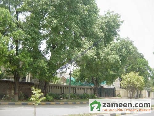 8 Kanal Old House For Sale In Gulberg 3 - Block D1