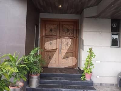 VIP Furnished ground portion house for rent