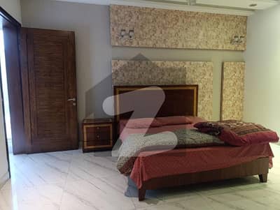 1Kanal Fully Furnished Lower Portion For Rent For Short And Long Time