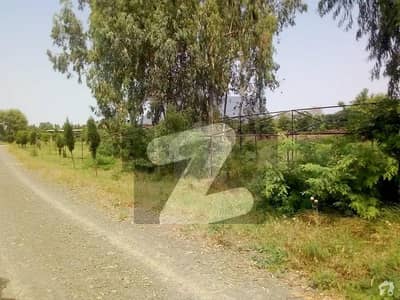 1 Kanal Residential Plot For Sale In Hakimabad
