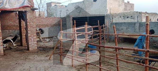 3 kanal dairy farm available for rent