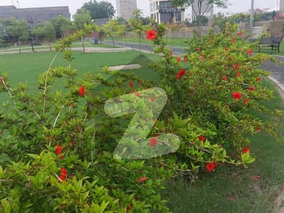 8 MARLA HOT LOCATION BEAUTIFUL PLOT FOR SALE IN VALENCIA TOWN BLOCK H1