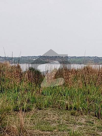 400 Kanal Agriculture Land For Sale In Balkasar Dhabi Dam 400 Kanal Agriculture Land For Sale In Balkasar Dhabi Dam
