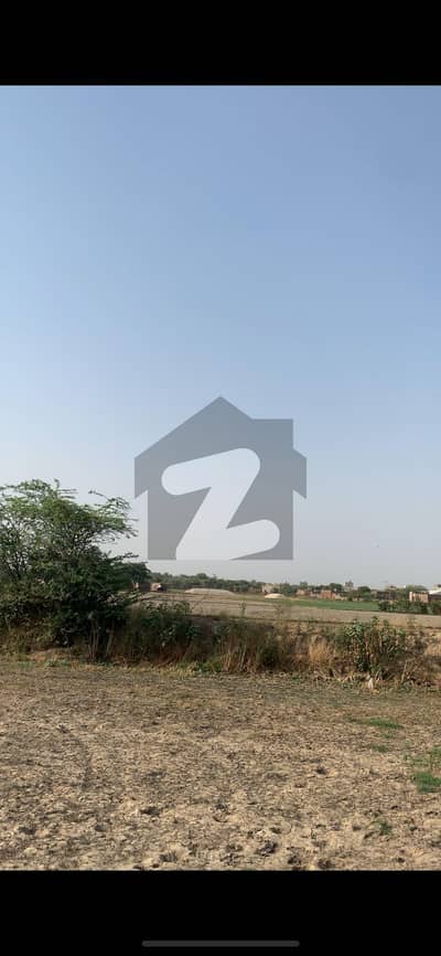 40 Kanal Farm House Situated In Sue-e-Asal Road For sale