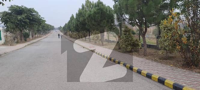 4 Kanal Solid Land Top Heighted Location Best Time Best Opportunity For Investor
