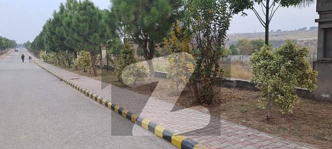 4 Kanal Plot Solid Land Top Heighted Location Best Time Best Opportunity For Investor