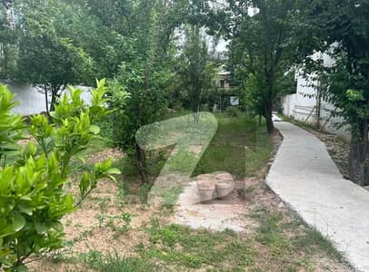 A Decent Plot For Sale In F-7 Front & Back Street