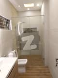 20 