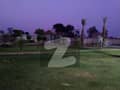 20 
