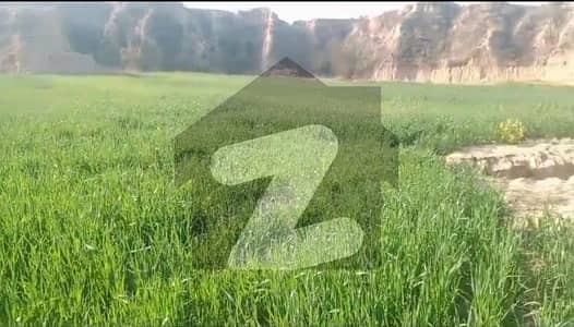 دیگر چکوال میں 130 کنال زرعی زمین 3.25 کروڑ میں برائے فروخت۔