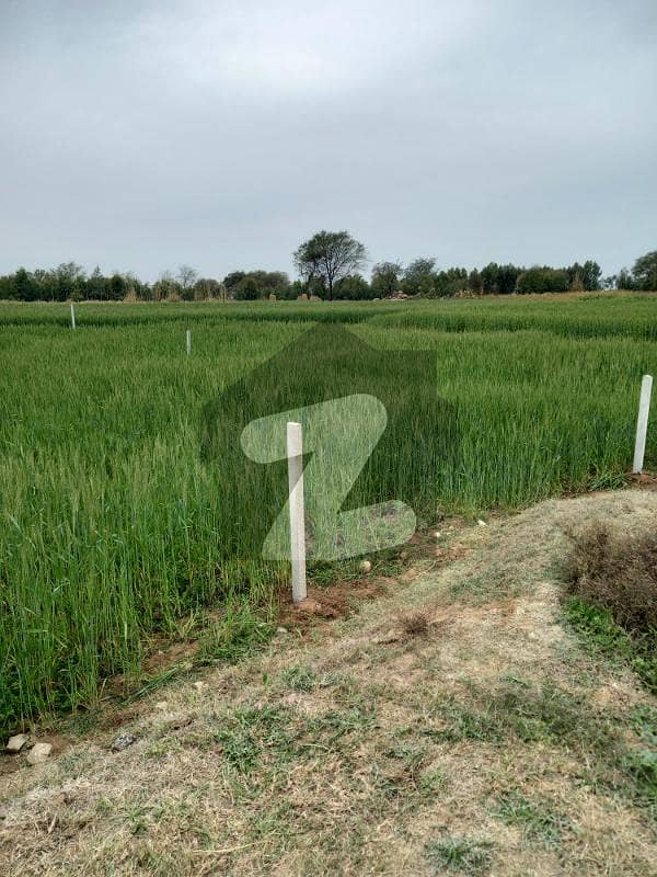 10 Marla Commercial Plot On 50 Foot New Road. 10 Marla Commercial Plot On 50 Foot New Road.