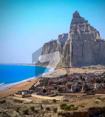 موضع دربیلہ شمالی گوادر میں 8 کنال زرعی زمین 2.5 لاکھ میں برائے فروخت۔