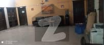 26 