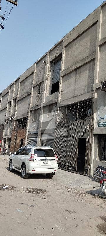 سگیاں