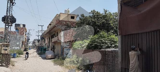 سگیاں