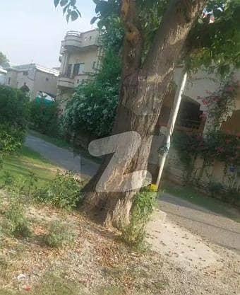 Plot Is Available F11/2 Size 666 Beautiful Location Hot Cake Direct Meting Owner