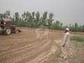 1 leveling of the roads and project area