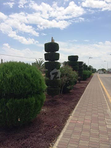10 Marla Plot No. 642 For Sale In Overseas B Block Sector D Bahria Town