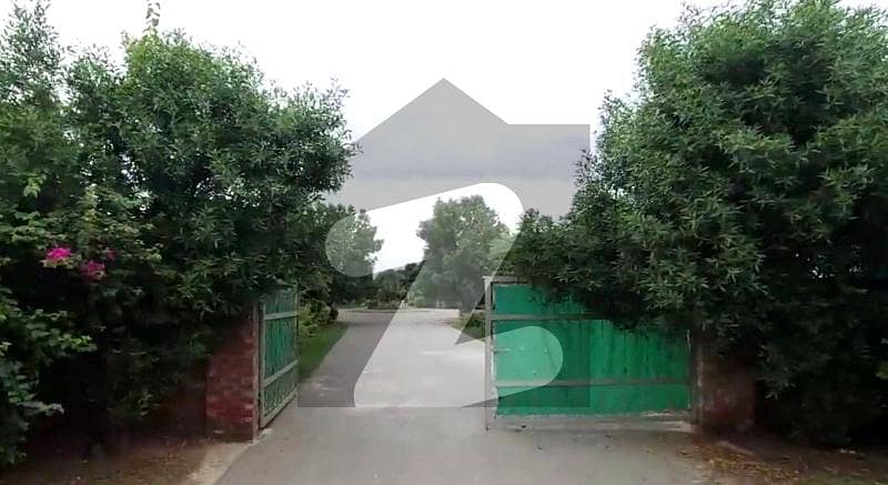 4 Kanal Farmhouse Plot At Barki Hadiyara For Sale 4 Kanal Farmhouse Plot At Barki Hadiyara For Sale