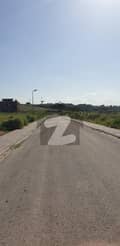 20 