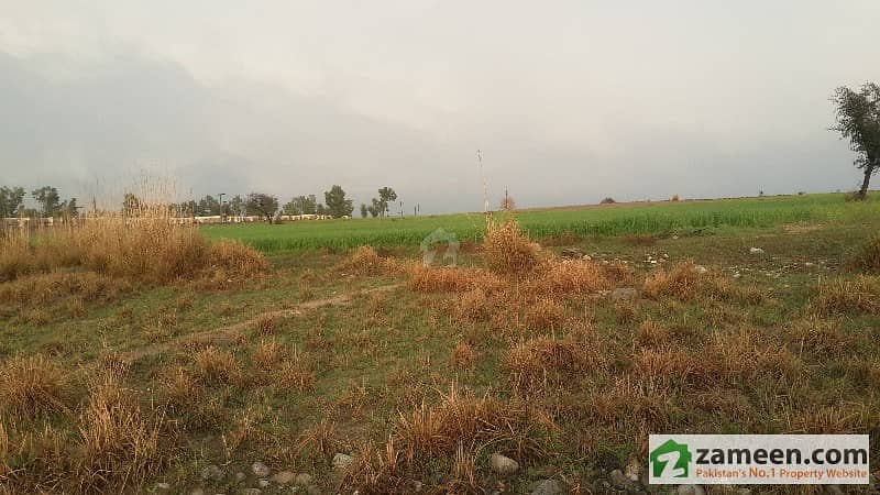 58 Kanal Agricultural Land For Sale In Ghazi Barotha Attock
