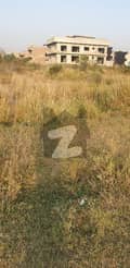 20 