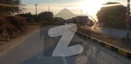 42 