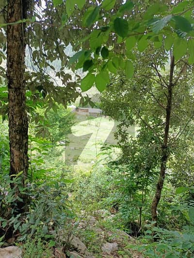 26 Marla Plot For Sale In Pir Sohawa Nearby Dino Valley