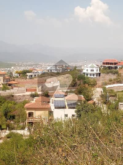 بنی