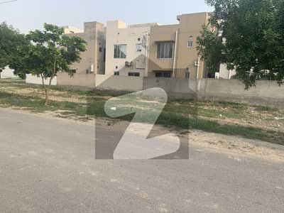 ڈی